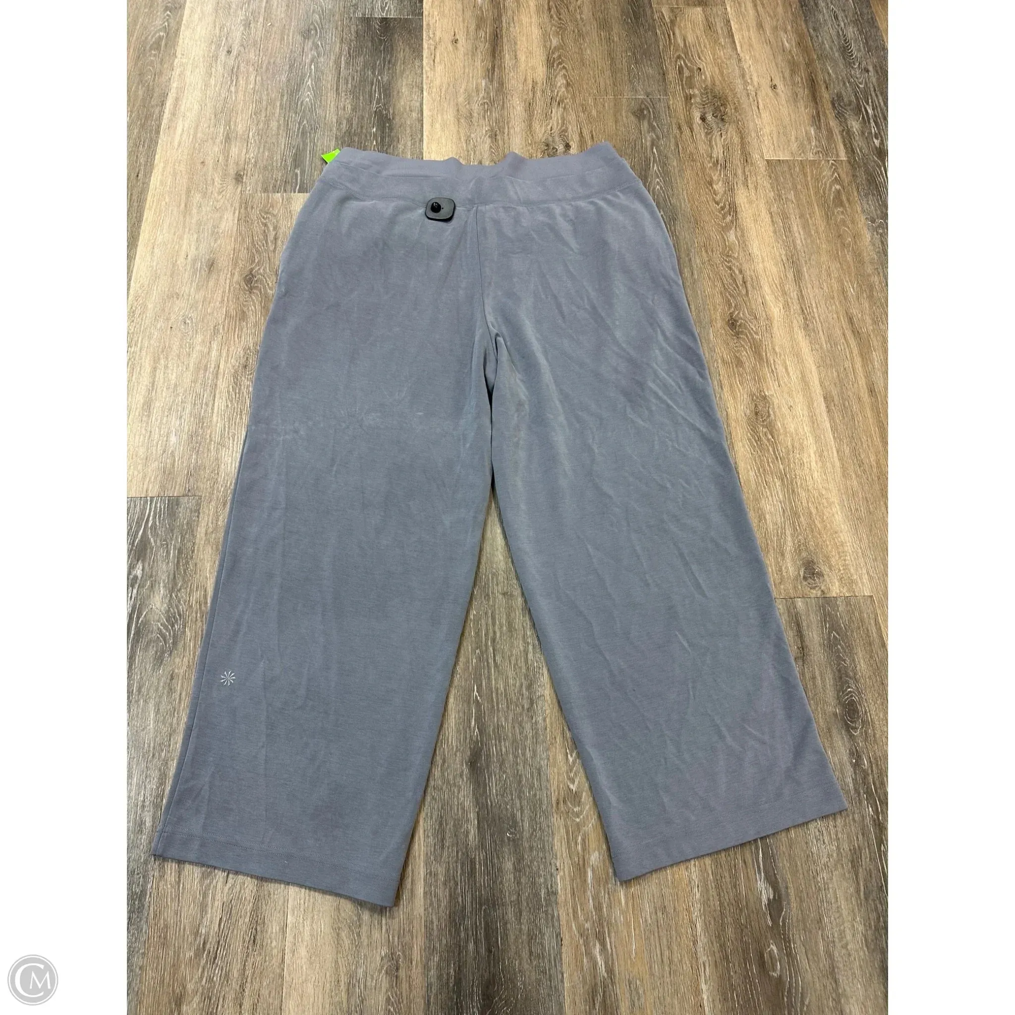 Athletic Pants By Athleta In Blue, Size: 2x