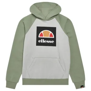 Ellesse Green/Light Grey Cervino Hoody