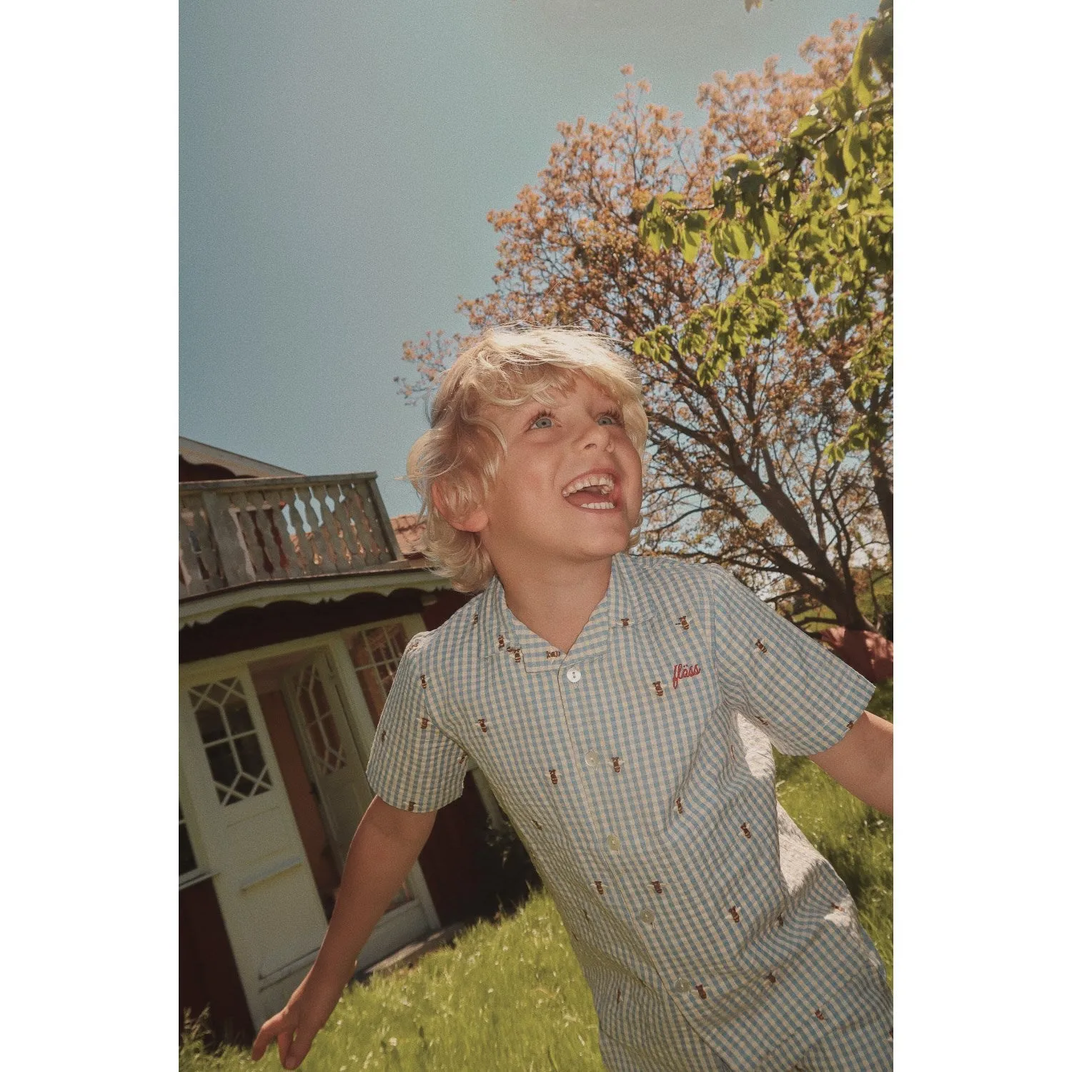 Flss Bee Gingham Oliver Shirt