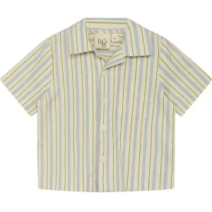 Flss Bobby Shirt Blue/Green Stripe