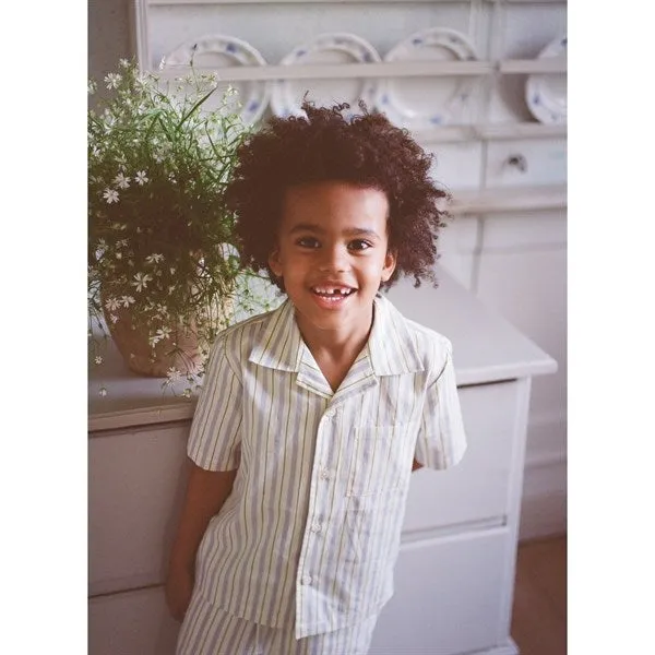 Flss Bobby Shirt Blue/Green Stripe