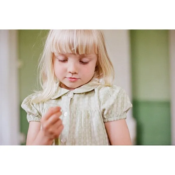 Flss Stella Dress Lime Gingham