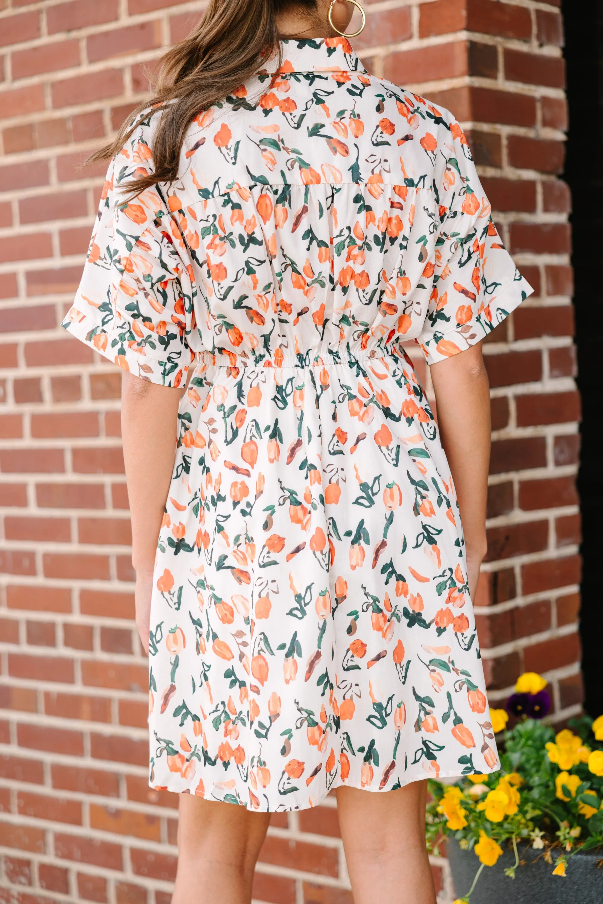 Happy Days Are Here Taupe Floral Dress