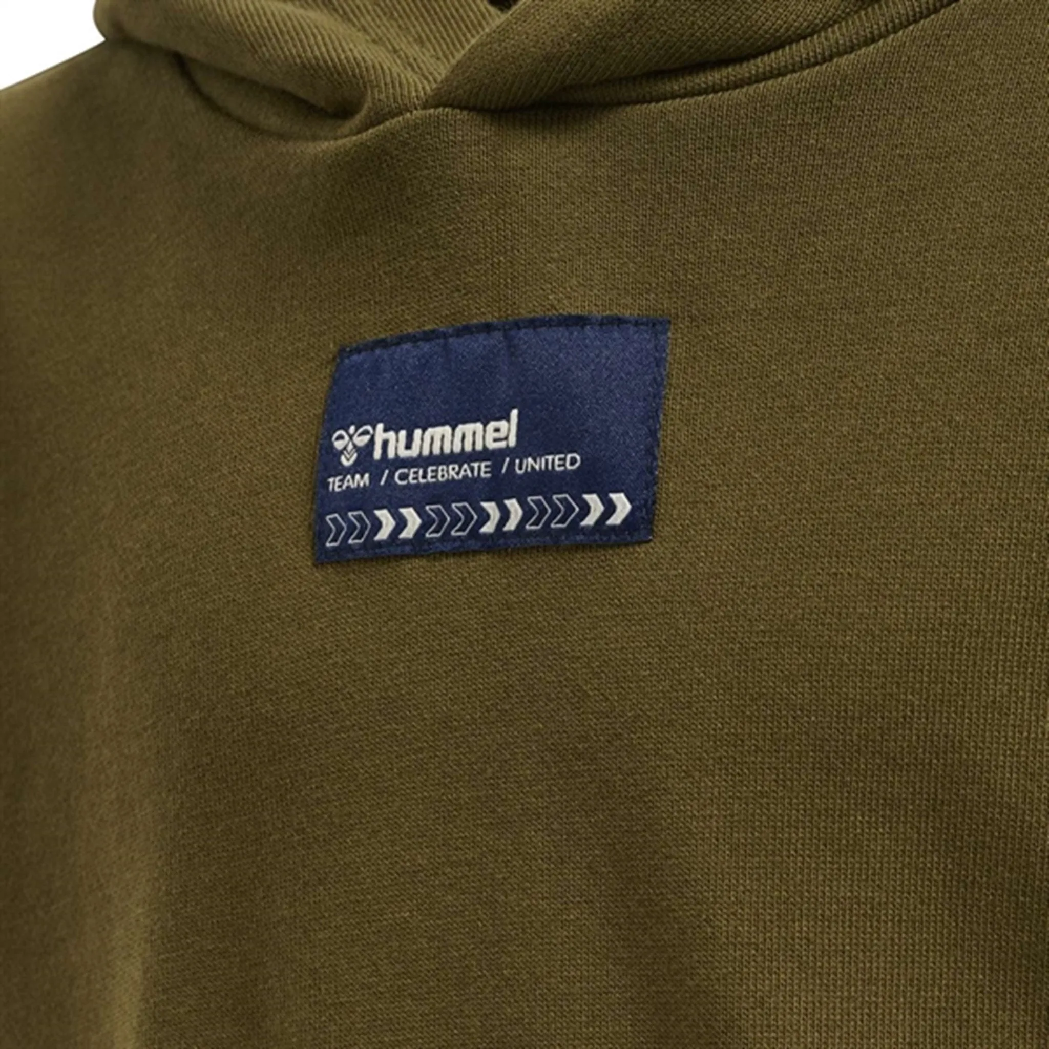 Hummel Dark Olive Ditmer Hoodie
