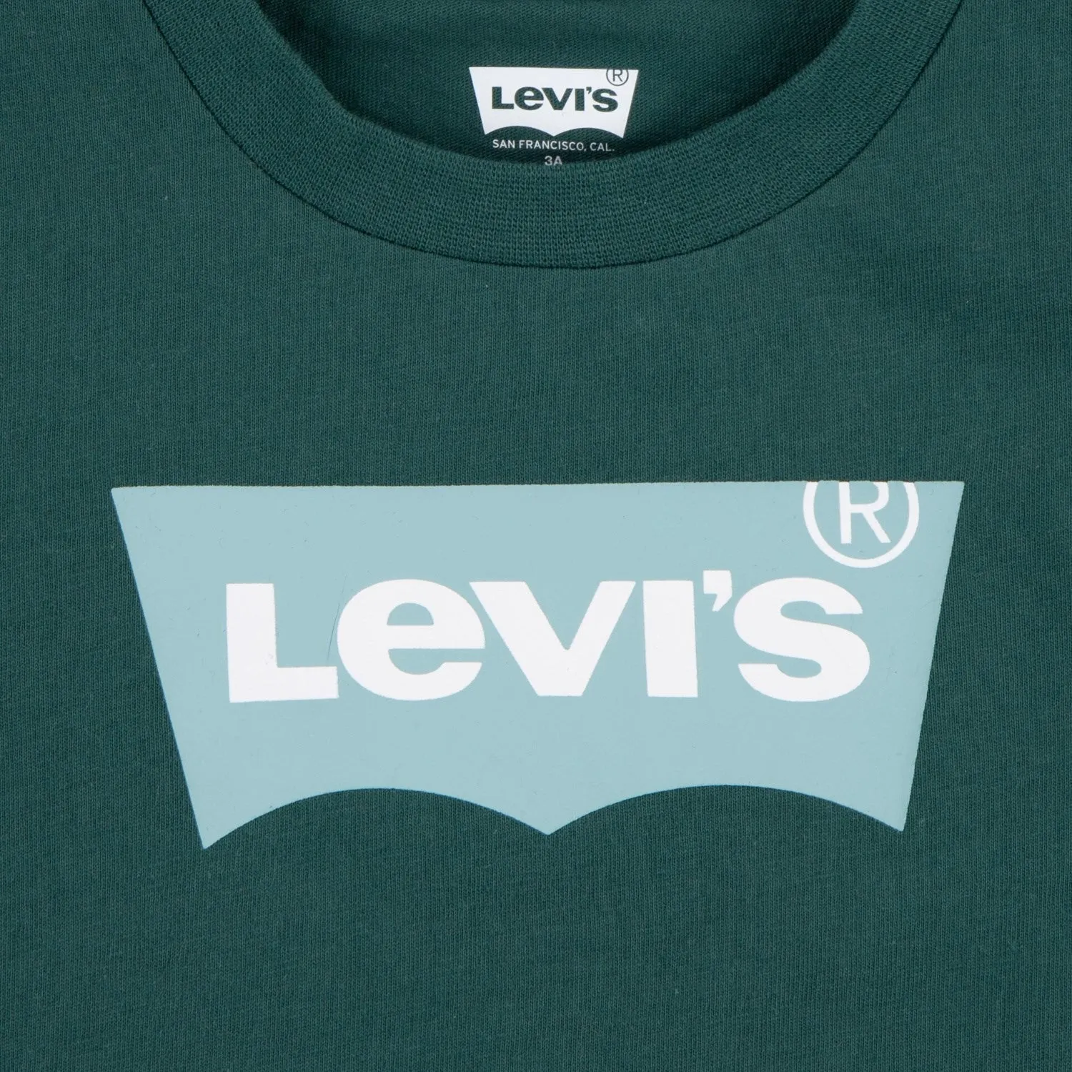 Levi's GREEN Batwing Tee