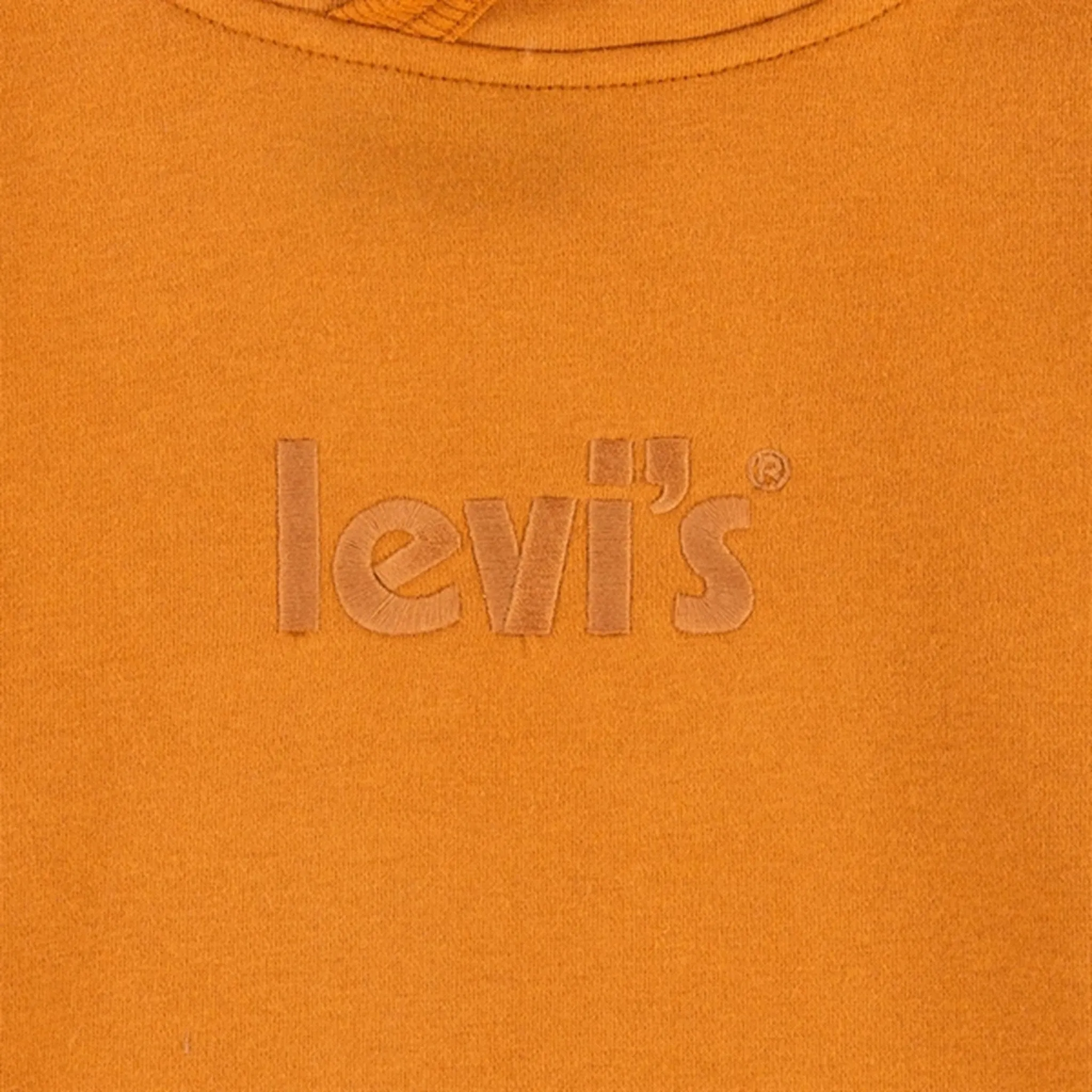 Levi's Logo Hoodie Cathay Spice