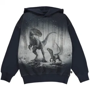 Molo x Jurassic World Blue & Beta Matty Hoodie
