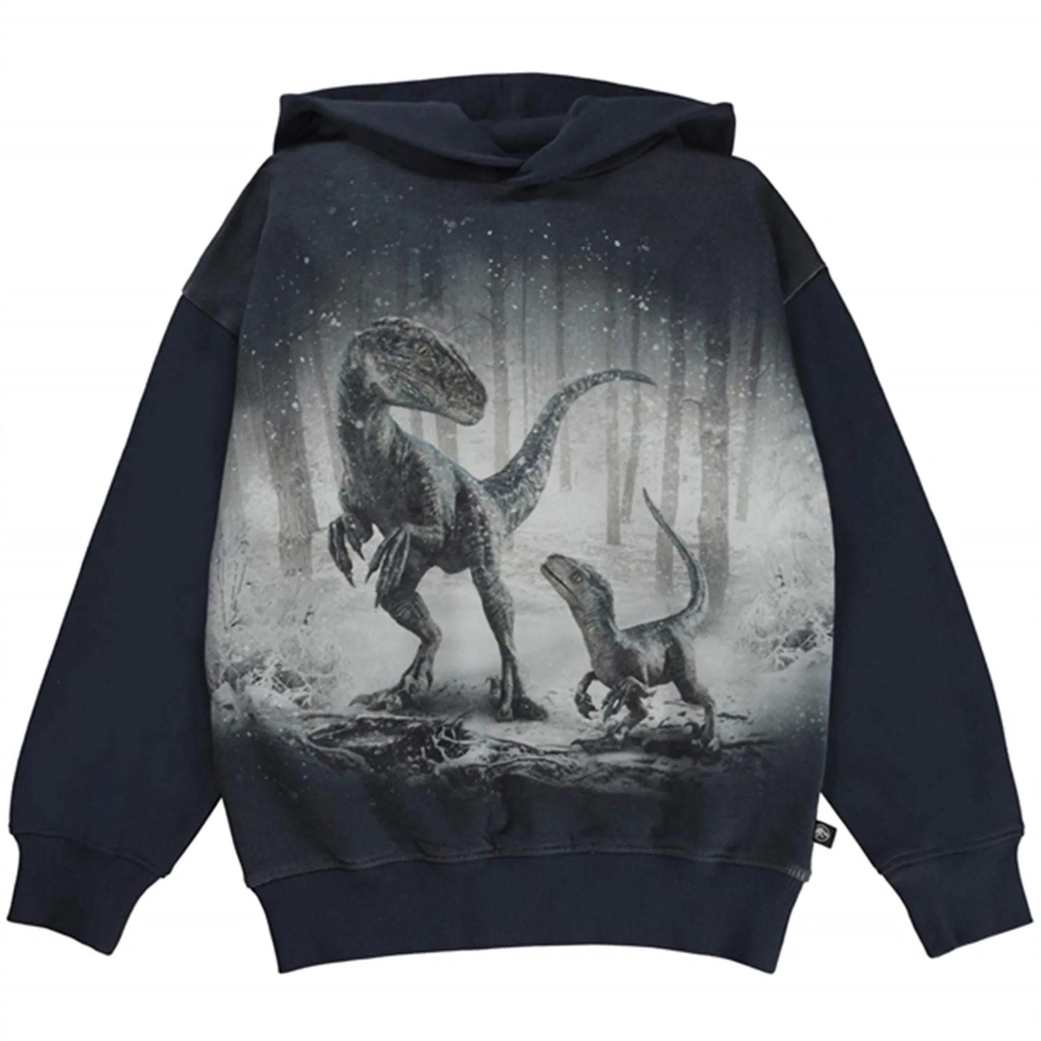 Molo x Jurassic World Blue & Beta Matty Hoodie