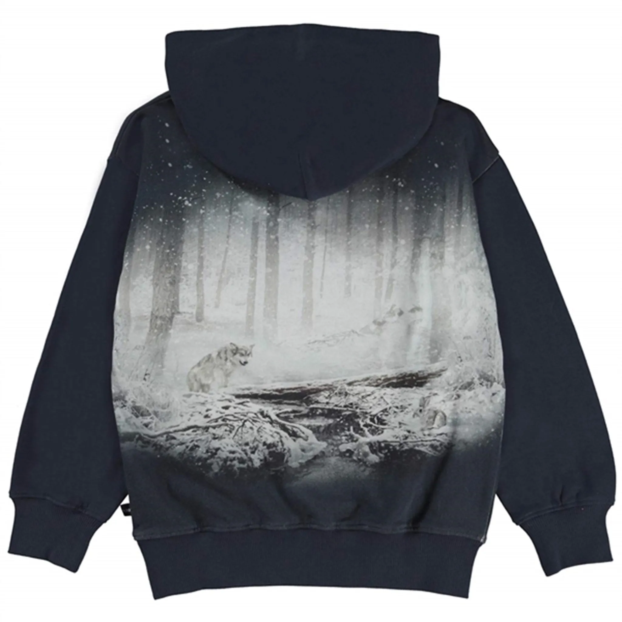 Molo x Jurassic World Blue & Beta Matty Hoodie