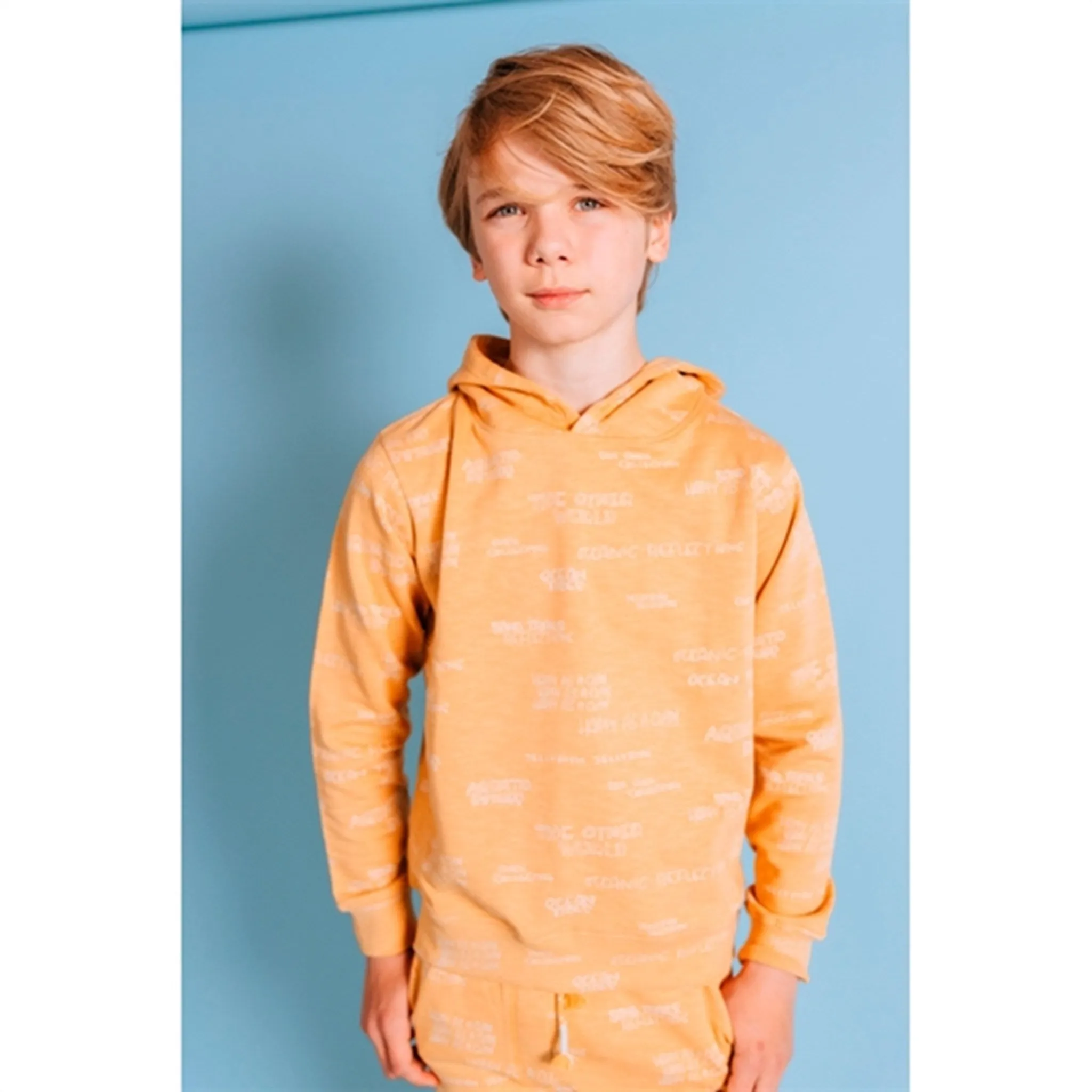 Soft Gallery Taffy Bowie Sandtracks Hoodie