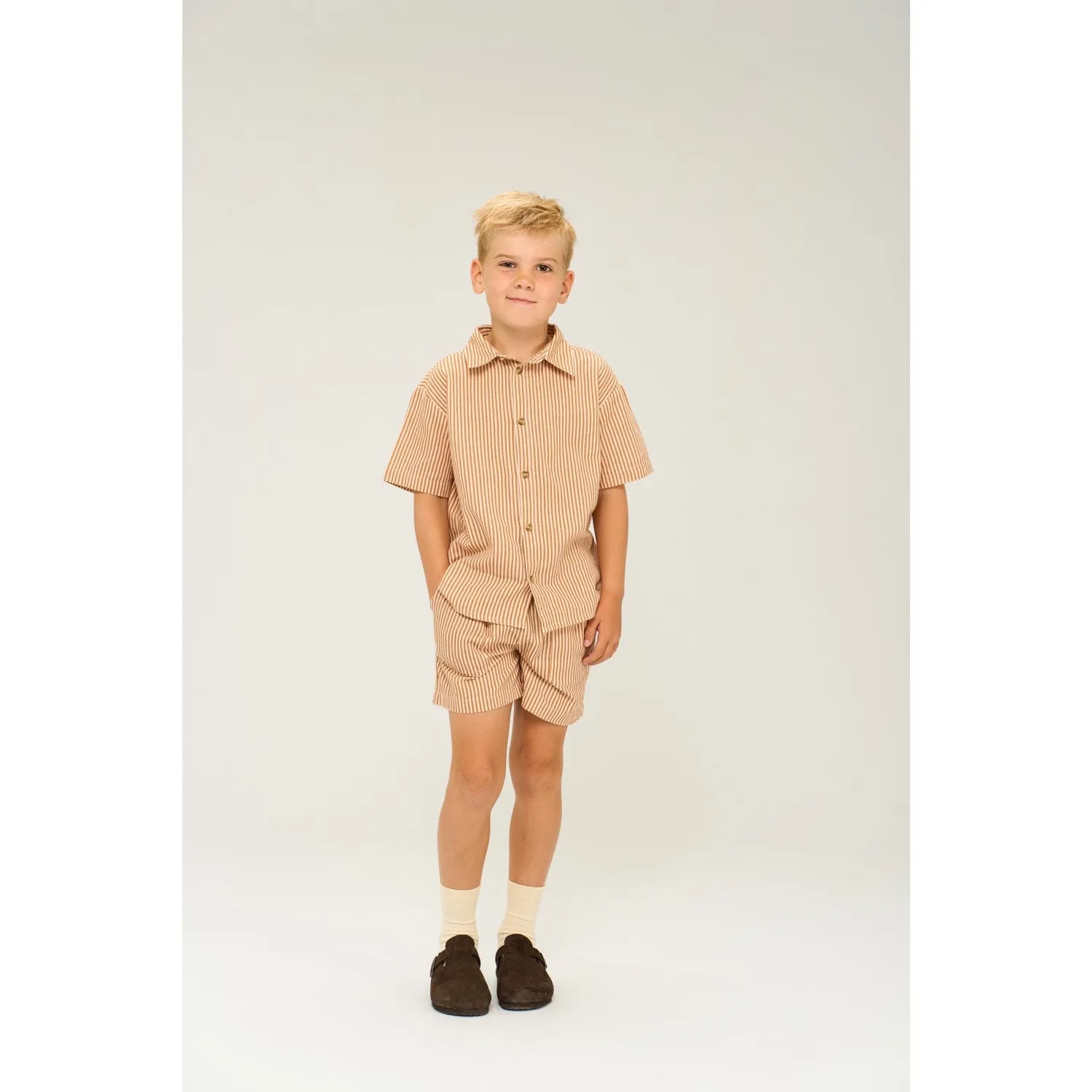 The New Indian Tan Striped Ollie Shirt