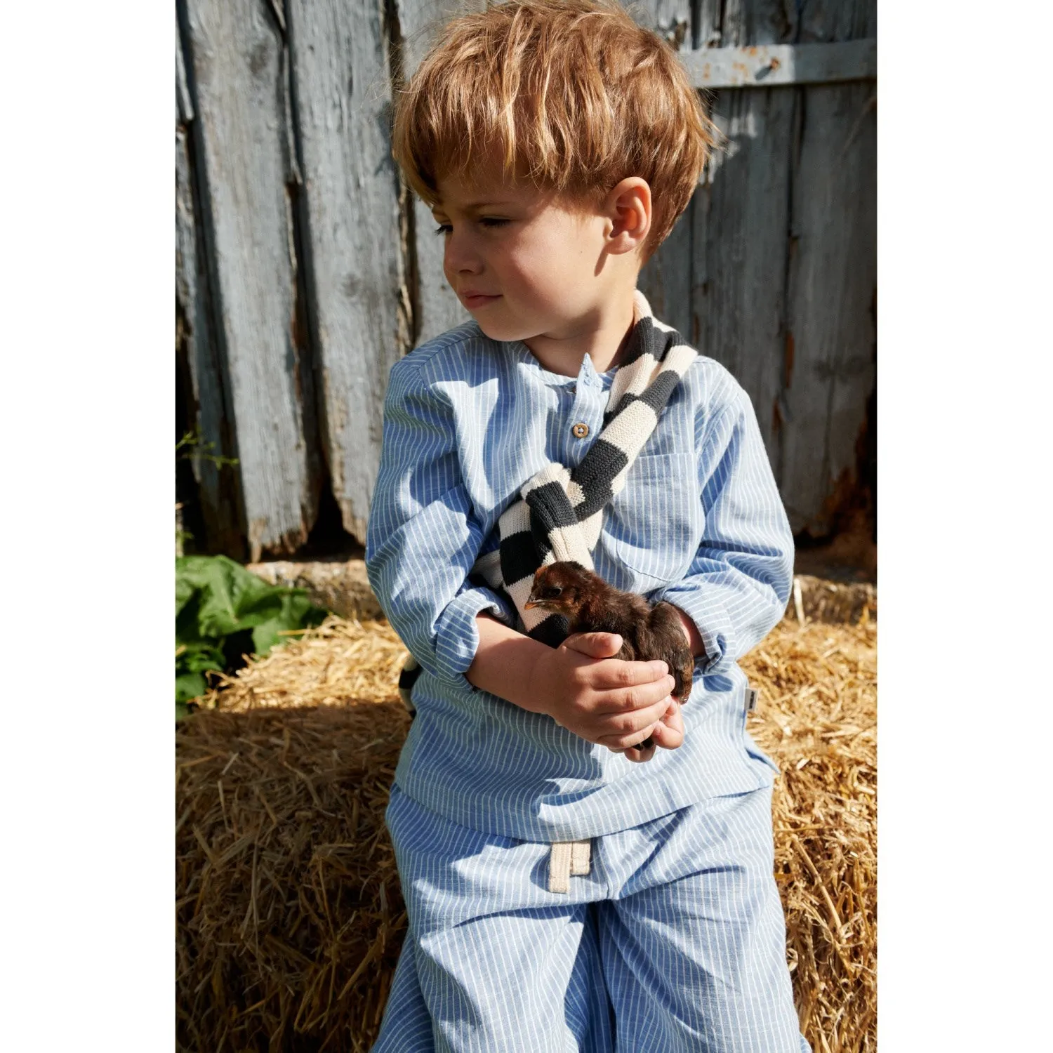 Wheat Blue Stripe Shirt Bjrk